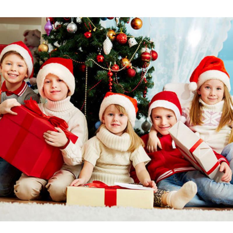 หมวกคริสต์มาสขนปุยสำหรับผู้ใหญ - Santa Hat Plush บทวิจารณ์และราคา